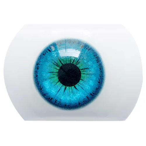 Colore degli occhi 1