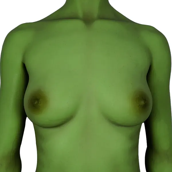 CLM Ultraverde