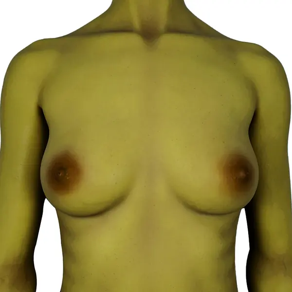 CLM Oliva