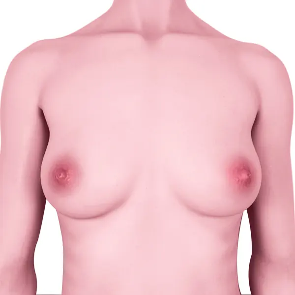 CLM Rosa