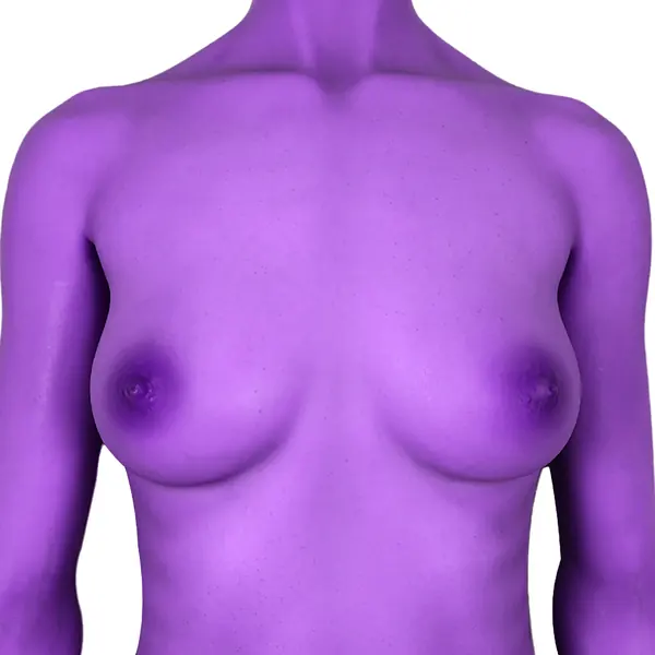 CLM ultra viola